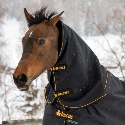 Bucas cou Irish Medium